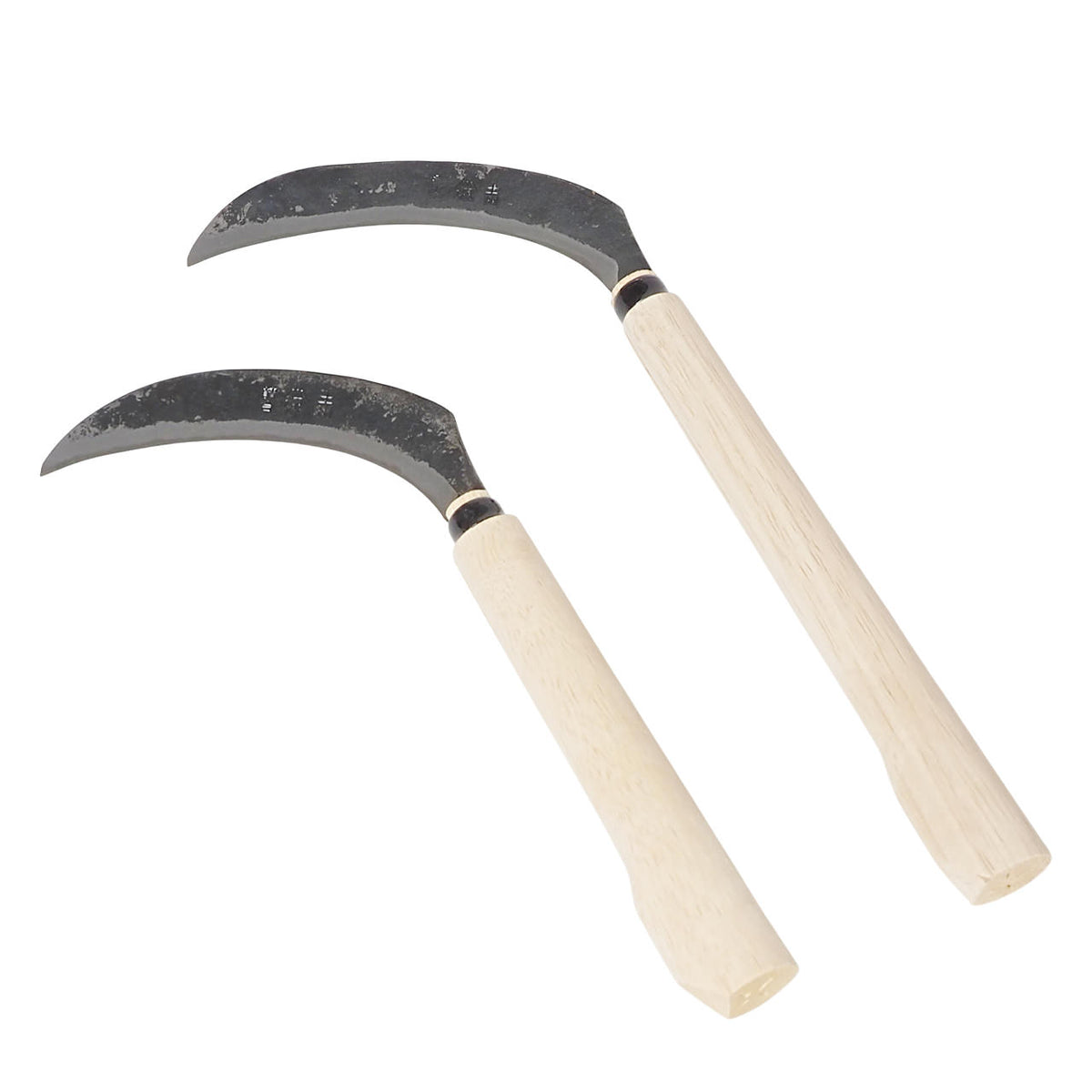 minikama8-1280_1200x1200.jpg?v